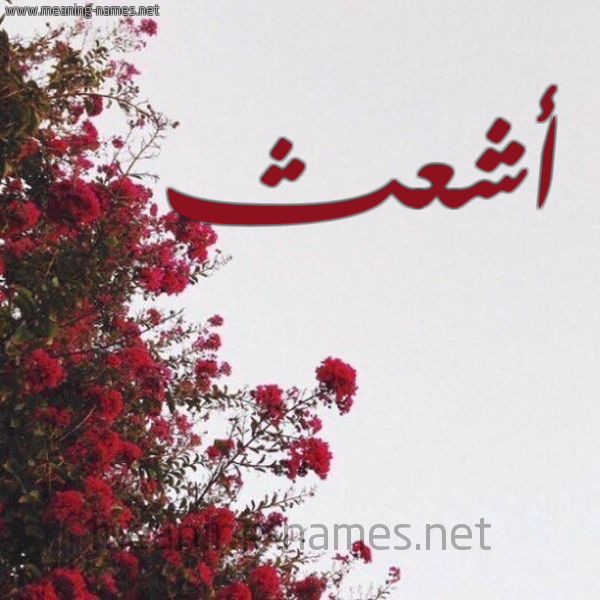 شكل 18 صوره الورد الأحمر للإسم بخط رقعة صورة اسم أشعث ASHATH