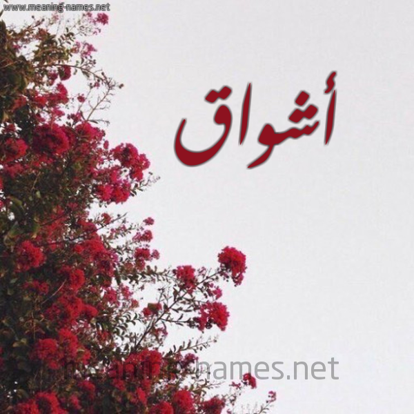 شكل 18 صوره الورد الأحمر للإسم بخط رقعة صورة اسم أشواق AShwAQ