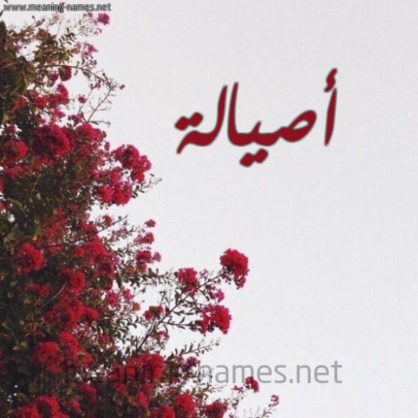 شكل 18 صوره الورد الأحمر للإسم بخط رقعة صورة اسم أصيالة Assala