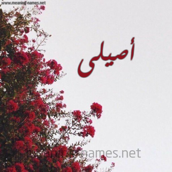 شكل 18 صوره الورد الأحمر للإسم بخط رقعة صورة اسم أصيلى Aseel