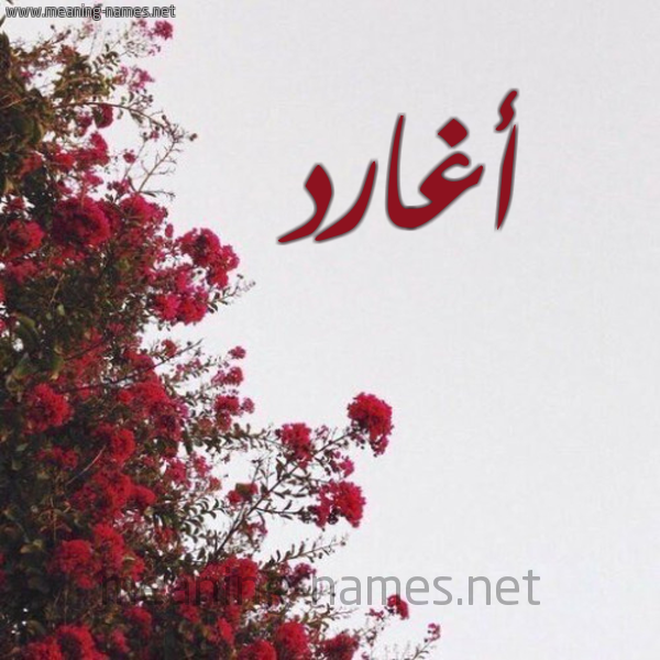 شكل 18 صوره الورد الأحمر للإسم بخط رقعة صورة اسم أغارد Agharid