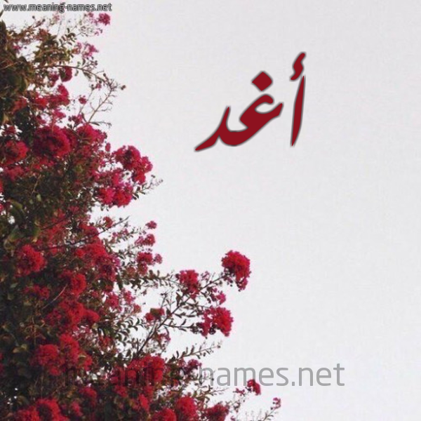 شكل 18 صوره الورد الأحمر للإسم بخط رقعة صورة اسم أغد Aghid