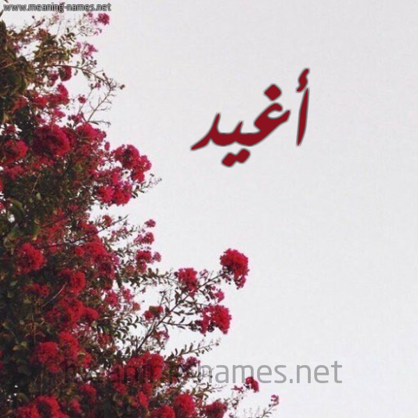 شكل 18 صوره الورد الأحمر للإسم بخط رقعة صورة اسم أغيد Aghid