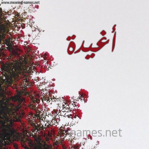 شكل 18 صوره الورد الأحمر للإسم بخط رقعة صورة اسم أغيدة Aghida