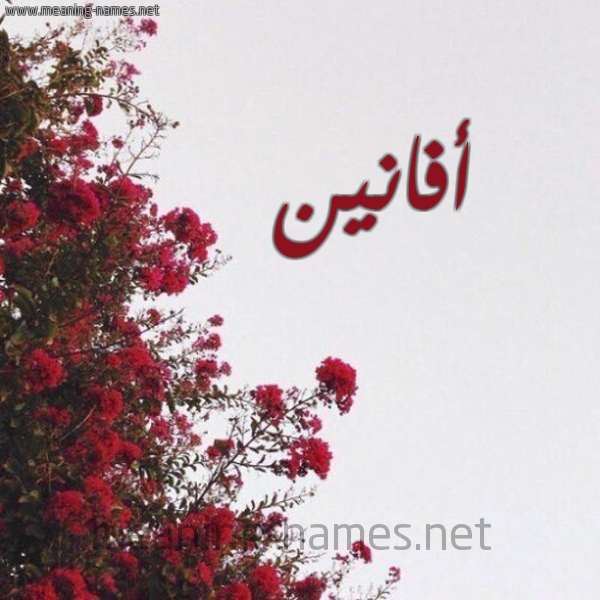 شكل 18 صوره الورد الأحمر للإسم بخط رقعة صورة اسم أفانين Afanin