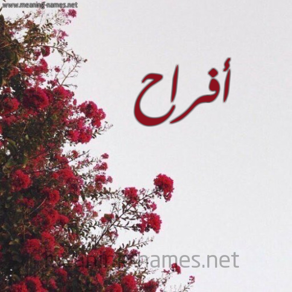 شكل 18 صوره الورد الأحمر للإسم بخط رقعة صورة اسم أفراح Afrah
