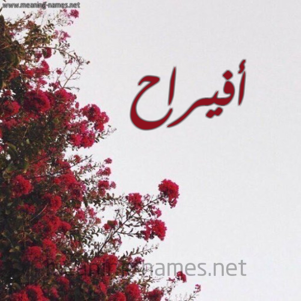 شكل 18 صوره الورد الأحمر للإسم بخط رقعة صورة اسم أفيراح Afraah