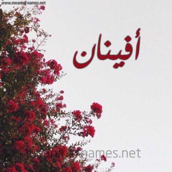 شكل 18 صوره الورد الأحمر للإسم بخط رقعة صورة اسم أفينان Afnan