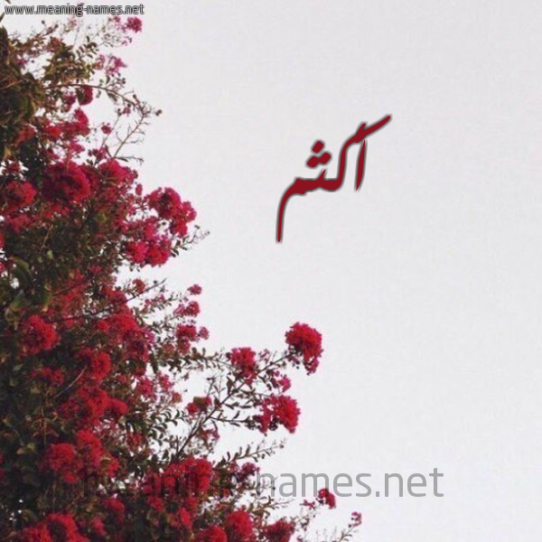 شكل 18 صوره الورد الأحمر للإسم بخط رقعة صورة اسم أكثم Akthm