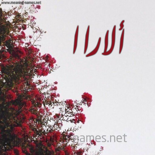 شكل 18 صوره الورد الأحمر للإسم بخط رقعة صورة اسم ألاراا alaraa