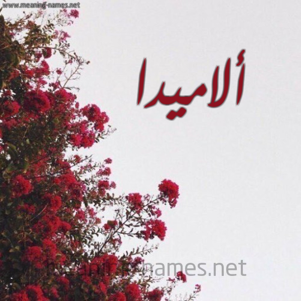 شكل 18 صوره الورد الأحمر للإسم بخط رقعة صورة اسم ألاميدا alamidda