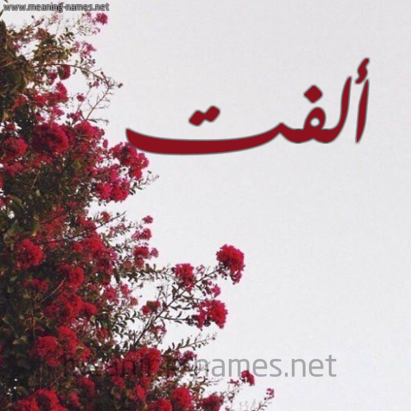 شكل 18 صوره الورد الأحمر للإسم بخط رقعة صورة اسم ألفت ALFT