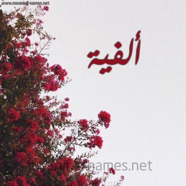 شكل 18 صوره الورد الأحمر للإسم بخط رقعة صورة اسم ألفية Olfa