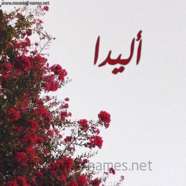 شكل 18 صوره الورد الأحمر للإسم بخط رقعة صورة اسم أليدا alida