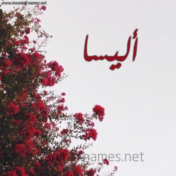 شكل 18 صوره الورد الأحمر للإسم بخط رقعة صورة اسم أليسا Alisa