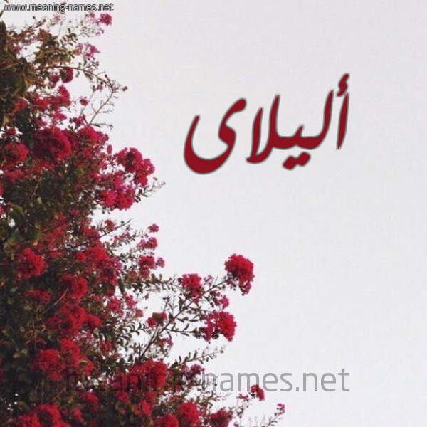 شكل 18 صوره الورد الأحمر للإسم بخط رقعة صورة اسم أليلاى alilai