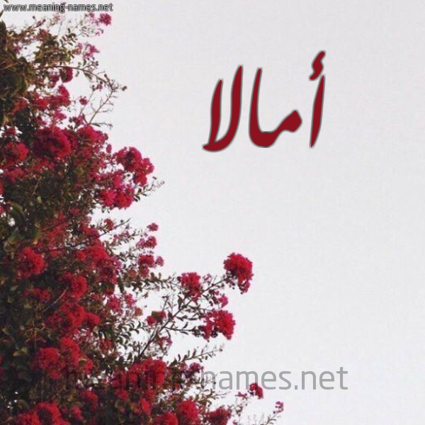 شكل 18 صوره الورد الأحمر للإسم بخط رقعة صورة اسم أمالا amalaa
