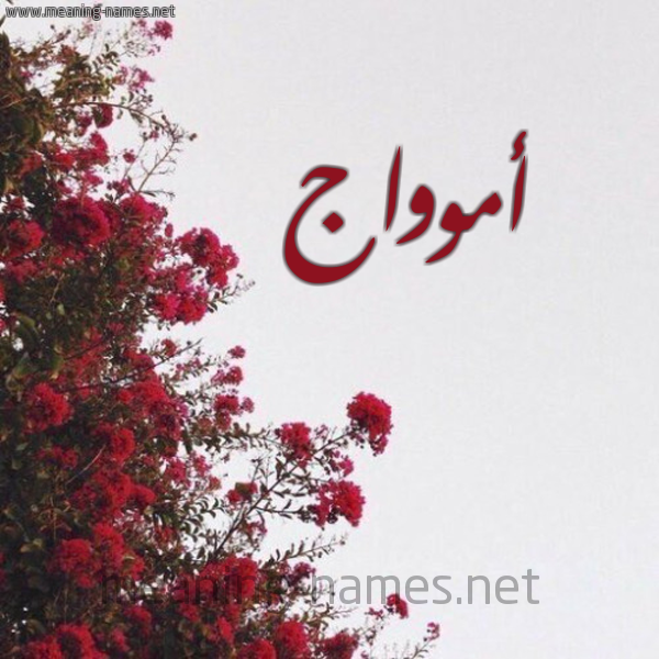شكل 18 صوره الورد الأحمر للإسم بخط رقعة صورة اسم أموواج Amwaj