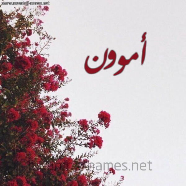 شكل 18 صوره الورد الأحمر للإسم بخط رقعة صورة اسم أموون Amoun