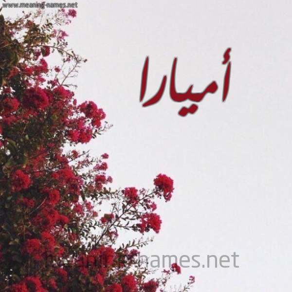 شكل 18 صوره الورد الأحمر للإسم بخط رقعة صورة اسم أميارا Amara