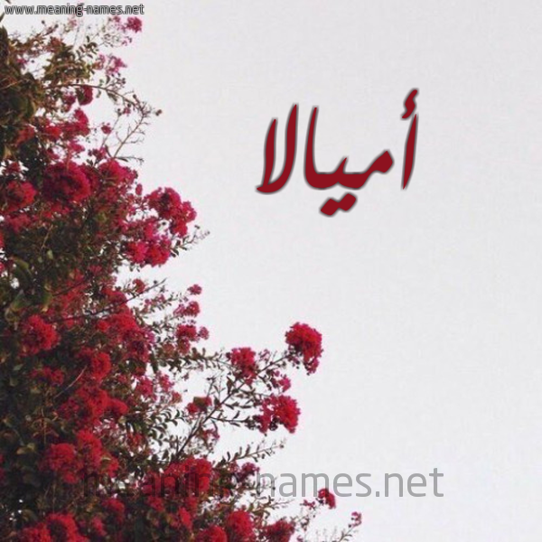 شكل 18 صوره الورد الأحمر للإسم بخط رقعة صورة اسم أميالا Amala