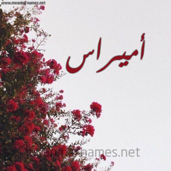 شكل 18 صوره الورد الأحمر للإسم بخط رقعة صورة اسم أميراس Ammiras