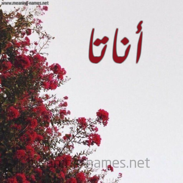 شكل 18 صوره الورد الأحمر للإسم بخط رقعة صورة اسم أناتا anata