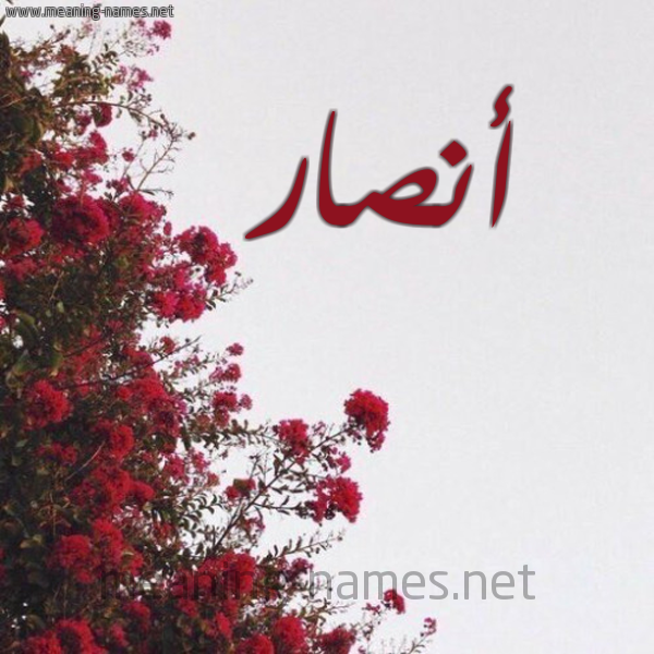 شكل 18 صوره الورد الأحمر للإسم بخط رقعة صورة اسم أنصار Ansar