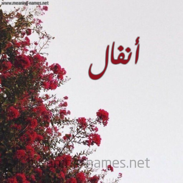 شكل 18 صوره الورد الأحمر للإسم بخط رقعة صورة اسم أنفال Anfal