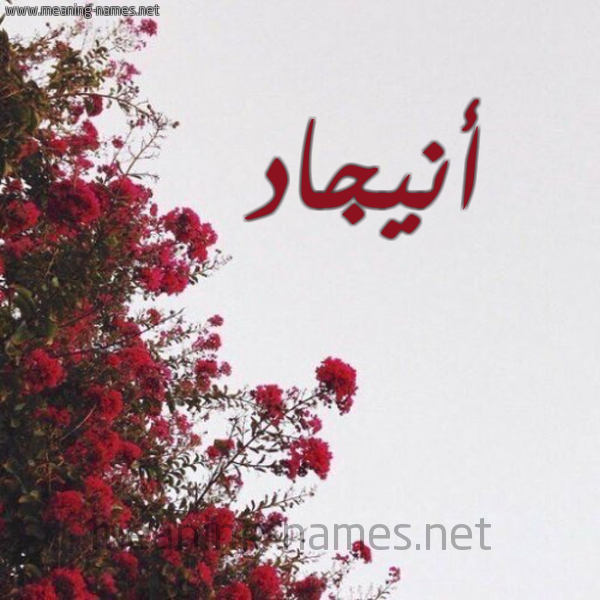 شكل 18 صوره الورد الأحمر للإسم بخط رقعة صورة اسم أنيجاد Anjad