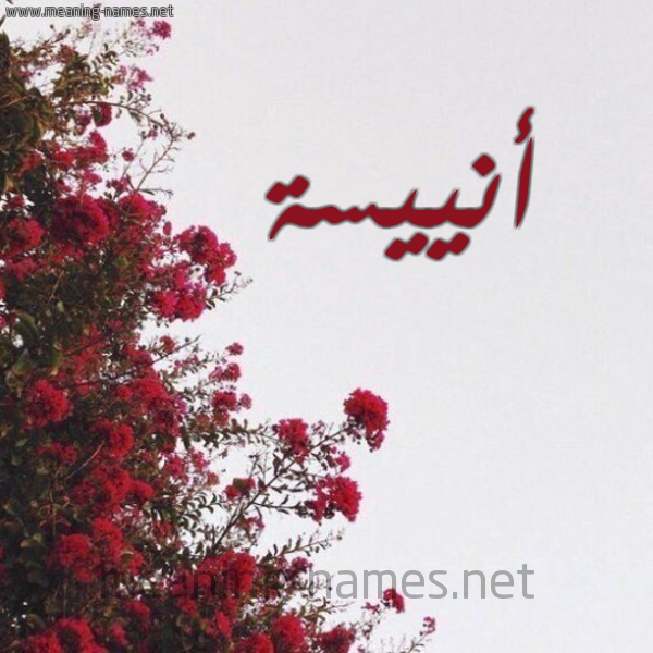 شكل 18 صوره الورد الأحمر للإسم بخط رقعة صورة اسم أنييسة Anisa