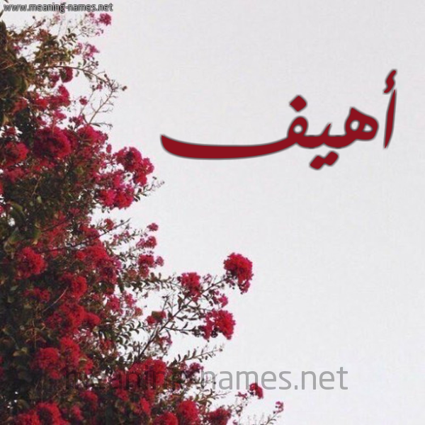 شكل 18 صوره الورد الأحمر للإسم بخط رقعة صورة اسم أهيف AHIF