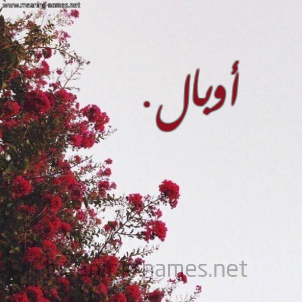 شكل 18 صوره الورد الأحمر للإسم بخط رقعة صورة اسم أوبال. obal
