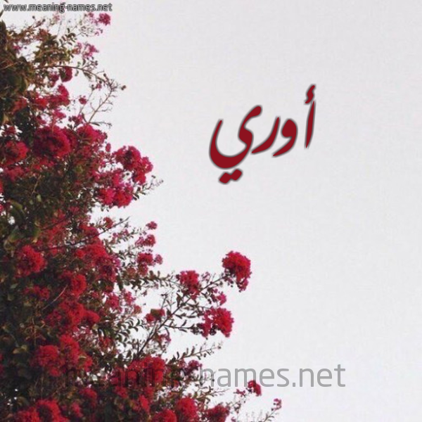 شكل 18 صوره الورد الأحمر للإسم بخط رقعة صورة اسم أوري ori