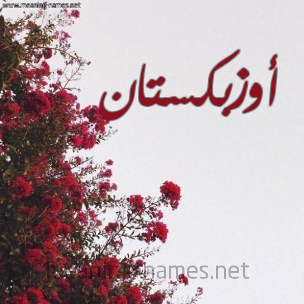 شكل 18 صوره الورد الأحمر للإسم بخط رقعة صورة اسم أوزبكستان AOZBKSTAN