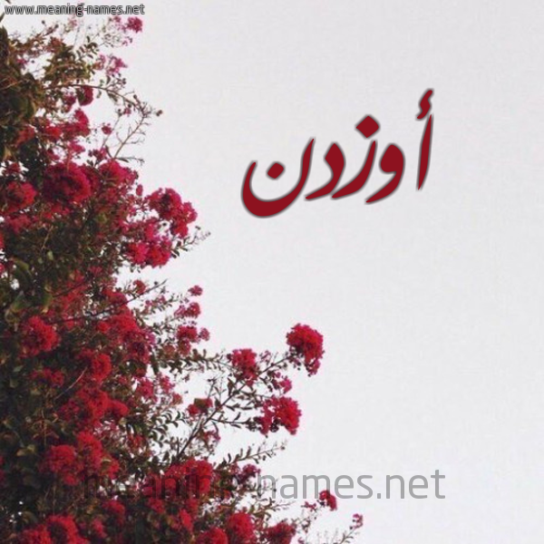 شكل 18 صوره الورد الأحمر للإسم بخط رقعة صورة اسم أوزدن Ozden