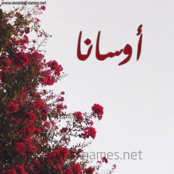 شكل 18 صوره الورد الأحمر للإسم بخط رقعة صورة اسم أوسانا osana