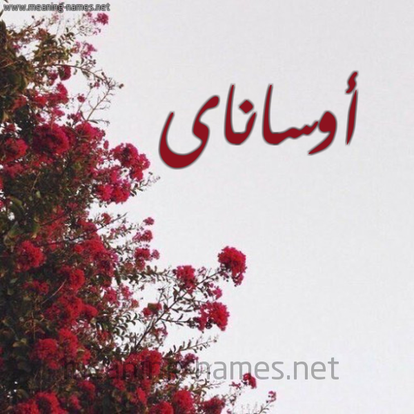 شكل 18 صوره الورد الأحمر للإسم بخط رقعة صورة اسم أوساناى osanai