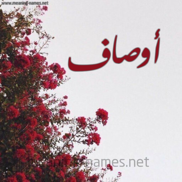 شكل 18 صوره الورد الأحمر للإسم بخط رقعة صورة اسم أوصاف AOSAF