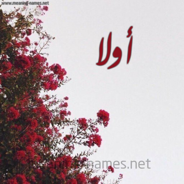 شكل 18 صوره الورد الأحمر للإسم بخط رقعة صورة اسم أولا ola