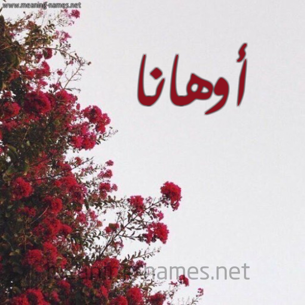 شكل 18 صوره الورد الأحمر للإسم بخط رقعة صورة اسم أوهانا ohana