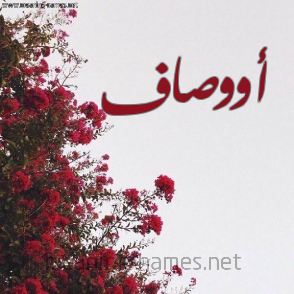 شكل 18 صوره الورد الأحمر للإسم بخط رقعة صورة اسم أووصاف Awsaf