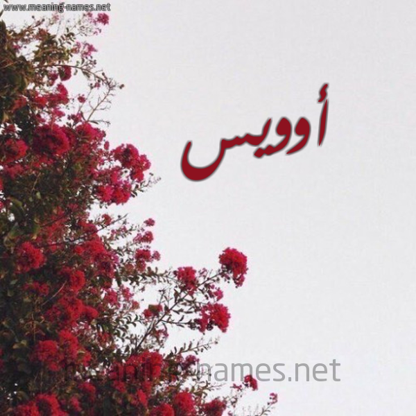 شكل 18 صوره الورد الأحمر للإسم بخط رقعة صورة اسم أوويس Oweis