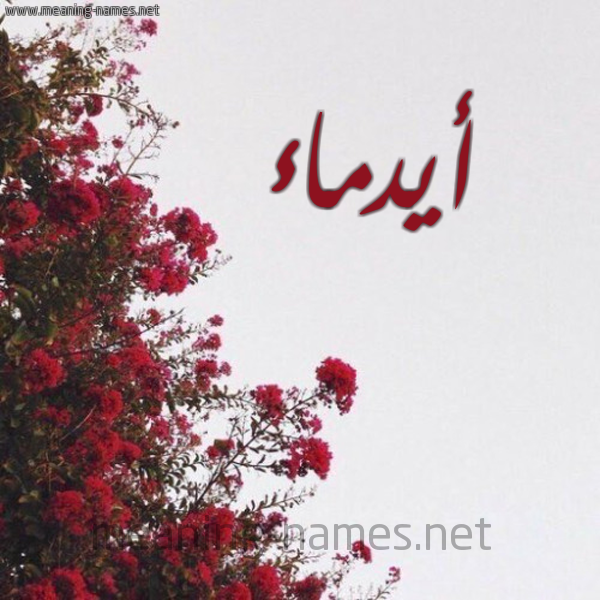 شكل 18 صوره الورد الأحمر للإسم بخط رقعة صورة اسم أيدماء Anmaa