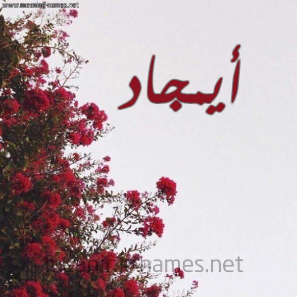 شكل 18 صوره الورد الأحمر للإسم بخط رقعة صورة اسم أيمجاد Amjaad