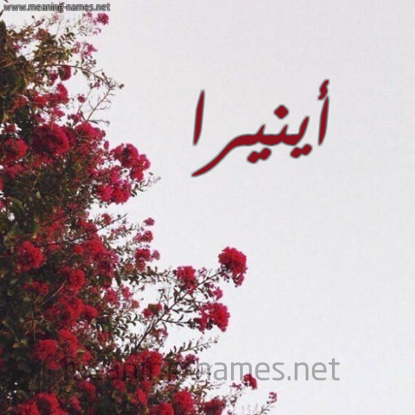 شكل 18 صوره الورد الأحمر للإسم بخط رقعة صورة اسم أينيرا Anira