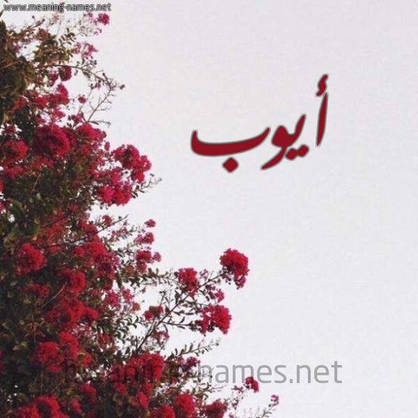 شكل 18 صوره الورد الأحمر للإسم بخط رقعة صورة اسم أيوب Aiob