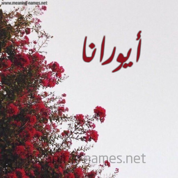 شكل 18 صوره الورد الأحمر للإسم بخط رقعة صورة اسم أيورانا Orana