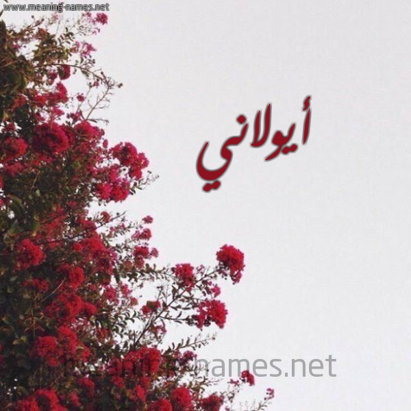 شكل 18 صوره الورد الأحمر للإسم بخط رقعة صورة اسم أيولاني Aulani