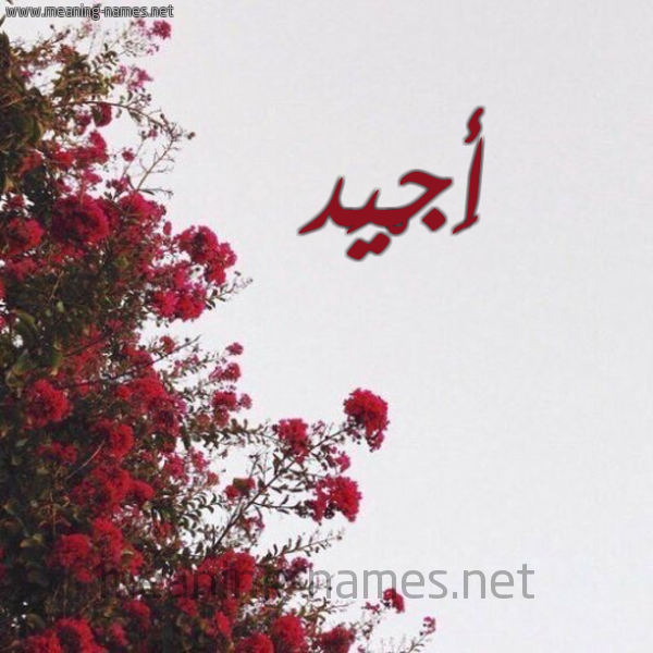 شكل 18 صوره الورد الأحمر للإسم بخط رقعة صورة اسم أَجْيَد AAGIAD